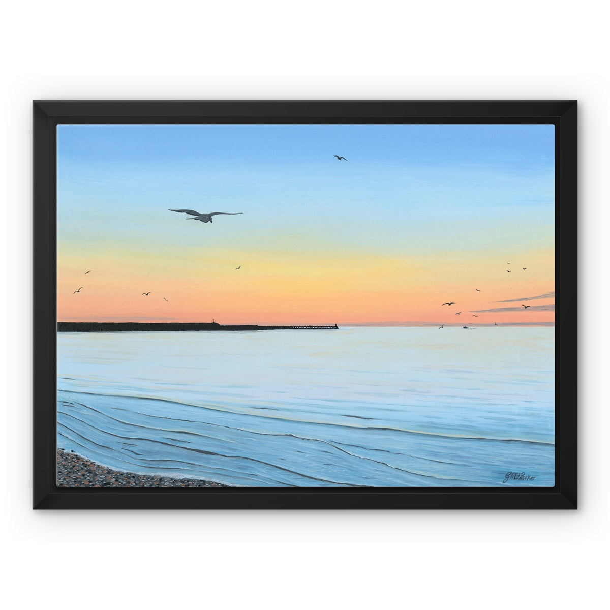 Freedom Framed Canvas